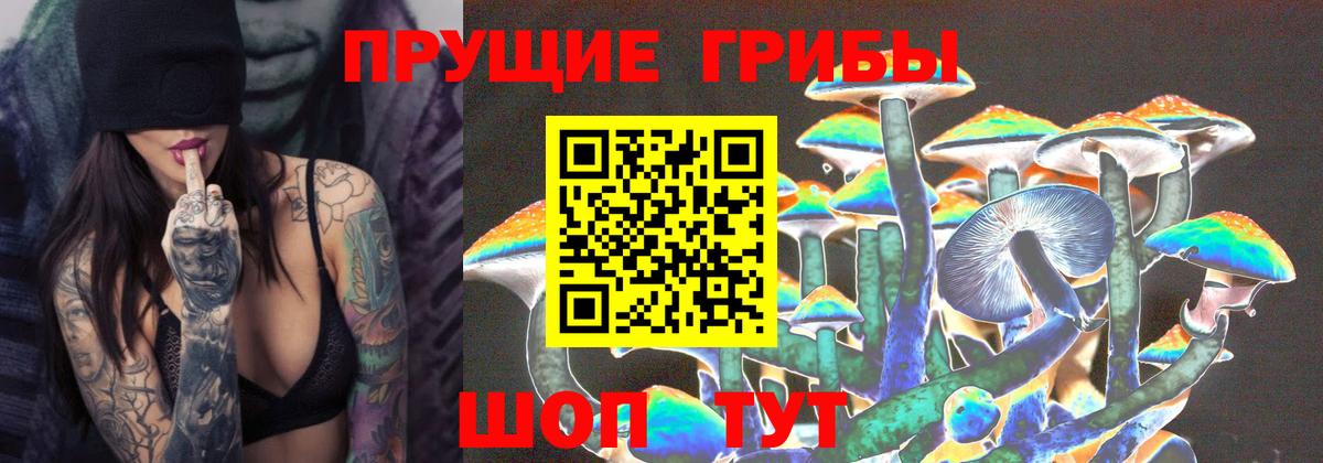 Железноводск  Псилоцибиновые грибы ЛСД  Вход с VPN 